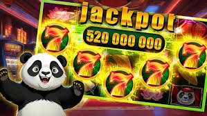 Live Dadu Online dealer broadcast studio with multiple camera angles and real-time betting interface